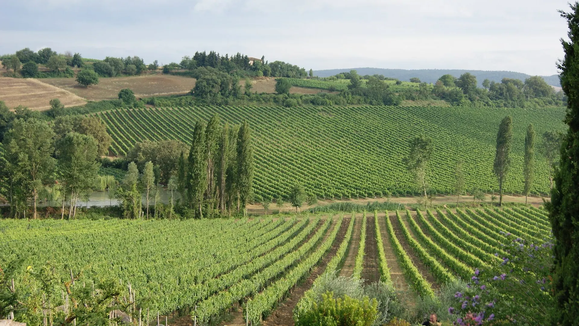 Villa Ortaglia Montepulciano Italy